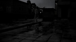 台风中的一条鱼