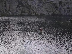 tree, rose, & death - Screenshot 14 of 16 - Public