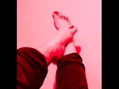 Te gustaría acariciarlos o que ellos te acaricien?