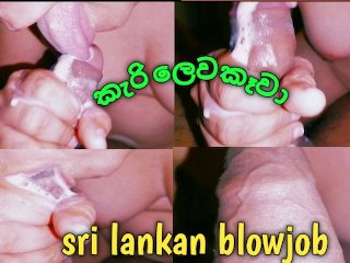 handjob, sri lankan new, big dick, asian chubby