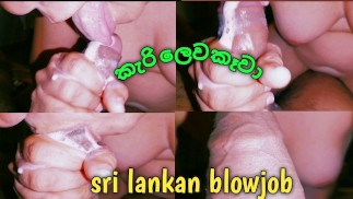Asian blowjob ,sri lankan new chubby ,කැරි යනකම්ම කටට ගත්තු කෑල්ල බඩු ලෙවකෑවා සුපිරියටම ,...........
