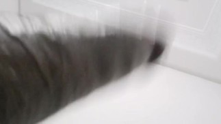 واتساب فيديو  صاحبتي