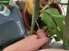 When the toilet is down, I water the office