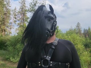 pony play, verified amateurs, public, pet slave training