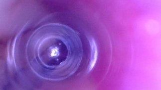 从里面看着我的屁股再次被拳打 - 预览