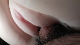 这个猫是免费的。