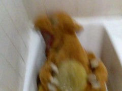 Extinguishing Charizard's Flame