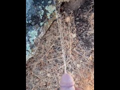 Windy Tree Pee - Screenshot 10 of 16 - Windy