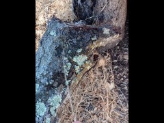 Windy Tree Pee - Screenshot 11 of 16 - Tree