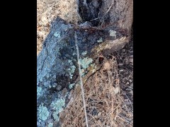 Windy Tree Pee