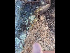 Windy Tree Pee - Screenshot 13 of 16 - Cock