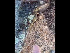 Windy Tree Pee - Screenshot 14 of 16 - Dick
