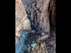 Windy Tree Pee - Screenshot 15 of 16 - Windy