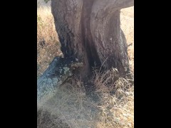 Windy Tree Pee - Screenshot 16 of 16 - Tree