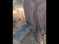 Windy Tree Pee - Screenshot 2 of 16 - Penis