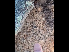 Windy Tree Pee - Screenshot 4 of 16 - Dick