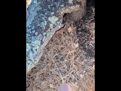 Windy Tree Pee - Screenshot 5 of 16 - Windy