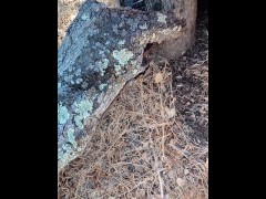 Windy Tree Pee - Screenshot 6 of 16 - Tree