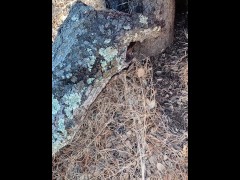 Windy Tree Pee - Screenshot 7 of 16 - Penis