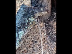 Windy Tree Pee - Screenshot 8 of 16 - Cock