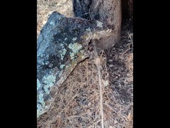 Windy Tree Pee - Screenshot 9 of 16 - Dick