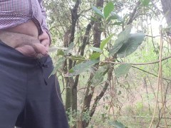 Pissing in the pine forest near Atlantic Ocean - Screenshot 2 of 16 - Pissing