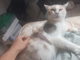 Malvina é Uma Gata Fofa