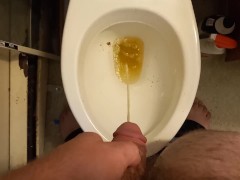 Guy Takes a quick Piss in the Toilet after smoking some weed