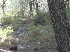 Cheating Moroccan Wife Fucking Outdoor Sex