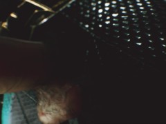 batman fuck catgirl, cooming soon! 3D Porn!