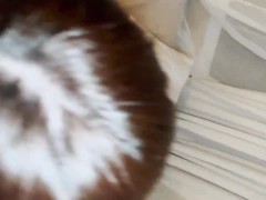 ※完全顔出し【圧倒的低身長処女】ドラマ出演経験ありモデル。全身から体液を流す未経験の身体に大量中出し。 - Screenshot 10 of 16 - Asian