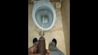 Pissing in Public Bathroom