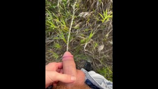 Orinando al aire libre en un campo de Minnesota