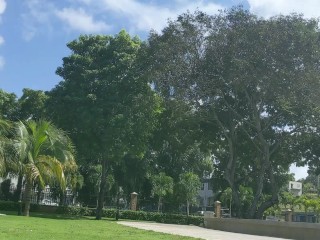 A Beautiful Day at the Park Met a Horny Sexy Ebony Slut took her to the Condo for Blowjob - Jhodez