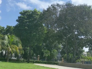 Прекрасный День В Парке Встретил Возбужденную Сексуальную Негритянскую Шлюху Отвез Ее В Кондоминиум Для Минета - Джодез