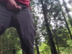 Pissing in the pine park