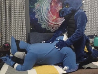 Dragon Humps Blue Jay Doggy