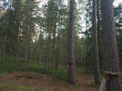 Hot brunette doggystyle anal in the woods - Screenshot 16 of 16 - Anal