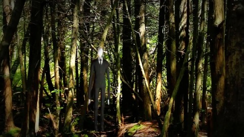 Free Stock Footage Forest Slenderman 2