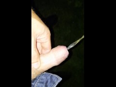 BACKYARD PISS marking my territory