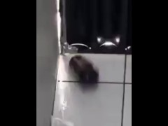 TikTok Trend Nude Reveal