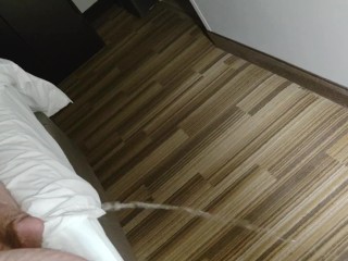 おならのあるホテルの部屋のベッドからカーペットの上の長い小便