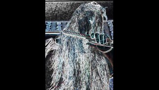 没有裸体，迷幻的小猫拉直了她的头发。