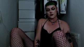 Miss Cats erster Wichs im neuen Haus