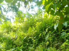 Patikim Muna sa Gilid ng Kalsada - outdoor - Screenshot 1 of 16 - Asian