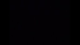 しっとり粛々な喘ぎ声から獣の様なオホ声に様変わりオナニー🙈💕💕