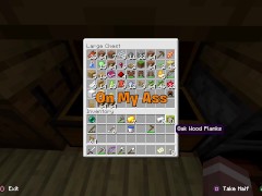 18+ Minecraft Moments