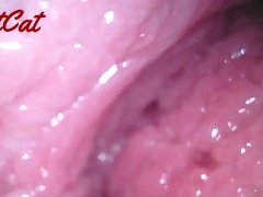 Endoscopic ♥vaginal observation内視鏡おまんこ♥膣内観察