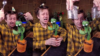 带来无尽放松的声音💀❤?