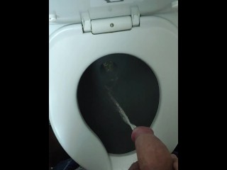 Pissing on the Plane